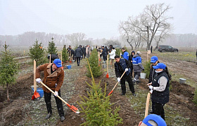 The Samruk-Kazyna Fund, together with the administration of the Abai Region, held an environmental campaign at a forest nursery on Beibitshilik Island in Semey