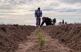 Samruk-Kazyna Supports Forest Restoration in Two Regions of Kazakhstan