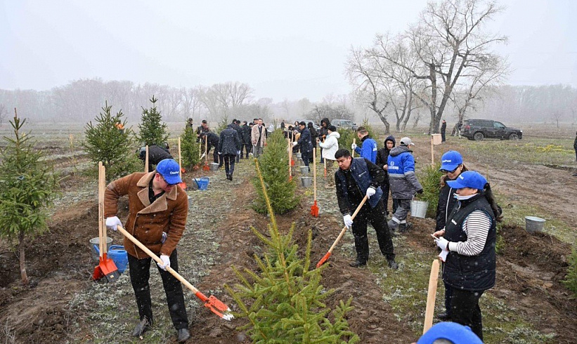 The Samruk-Kazyna Fund, together with the administration of the Abai Region, held an environmental campaign at a forest nursery on Beibitshilik Island in Semey